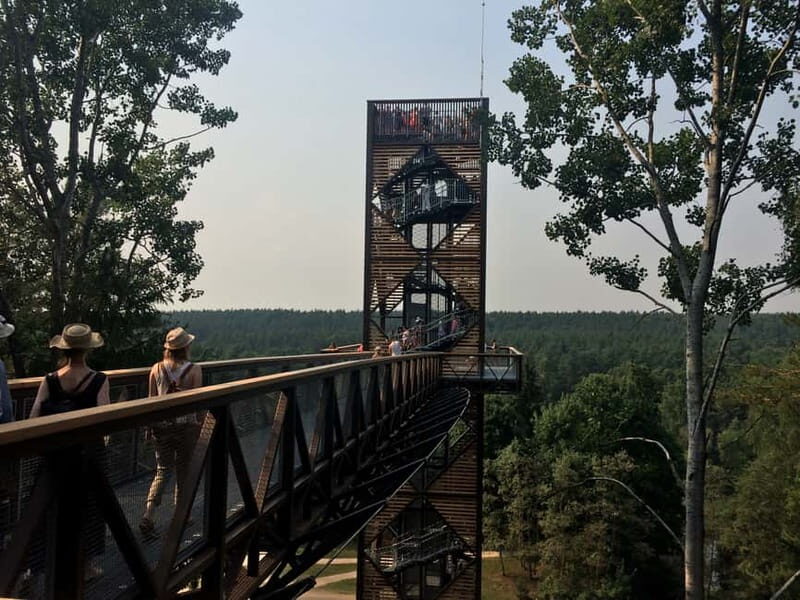 From Vilnius: Anykiai & The Hill of Crosses Day Trip - Key Points