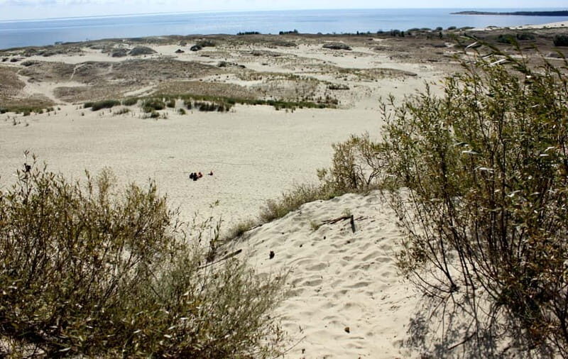 From Vilnius: Day Trip to Curonian Spit National Park - Authenticity and Unique Insights