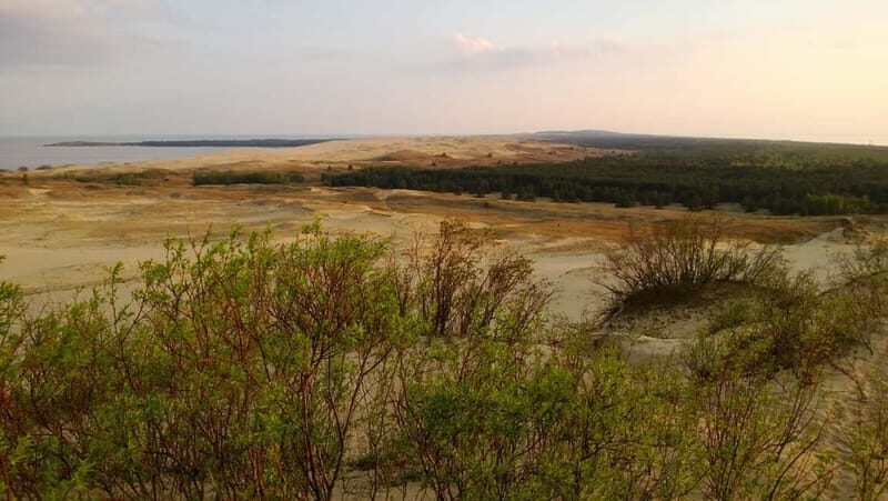 From Vilnius: Day Trip to Curonian Spit National Park - Who Will Love This Tour?