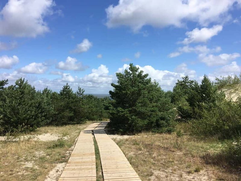 From Vilnius: Day Trip to Curonian Spit National Park - Final Thoughts