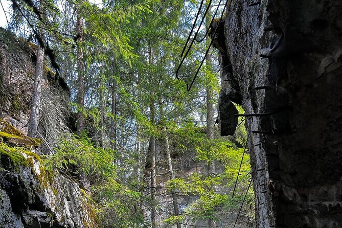 From Vilnius: Private Day Tour to Wolfs Liar (Hitler's bunker) - A Complete Breakdown of the Tour Experience