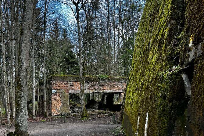 From Vilnius: Private Day Tour to Wolfs Liar (Hitler's bunker) - Who Is This Tour Best For?