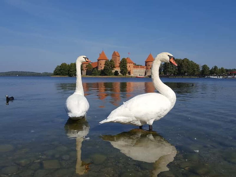 From Vilnius: Trakai Castle and Paneriai Memorial Tour - Frequently Asked Questions