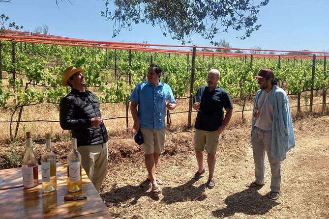 From Vine to Glass in Bajas Beautiful Valleys - The Itinerary in Detail