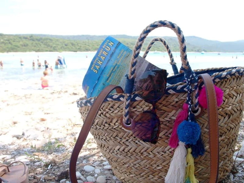 From Vir: Full-Day Guided Trip to Sakarun Beach - Who Will Love This Tour?