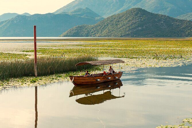 From Virpazar: Birdwatching and Photography on Skadar Lake - The Value of the Experience