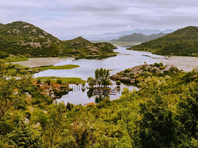 From Virpazar: Visit Karu, the hidden pearl of Lake Skadar - Water Chestnuts and Birdlife Galore