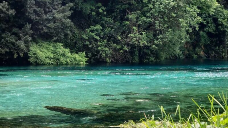 From Vlora:Tepelene Springs, Gjirokaster & Blue Eye Day Tour - Who Would Love This Tour?