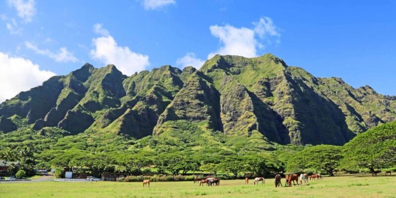 From Waikiki: Circle Island Tour - Why This Tour Works for You
