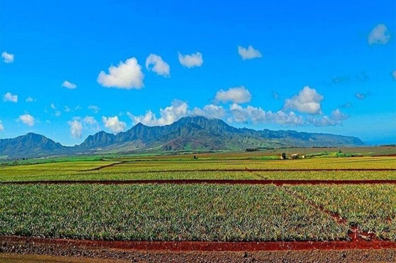 From Waikiki: Oahu Grand Circle Island Experience - Who Would Love This Tour?
