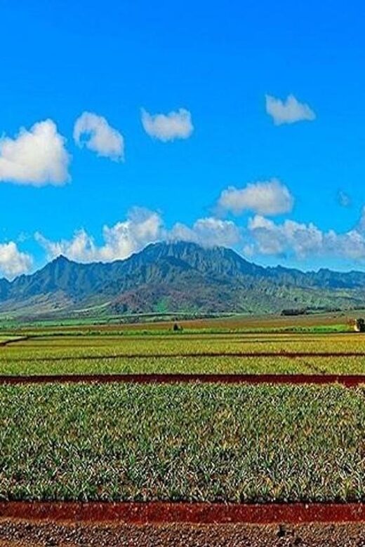 From Waikiki: Oahu Grand Circle Island Experience - FAQs