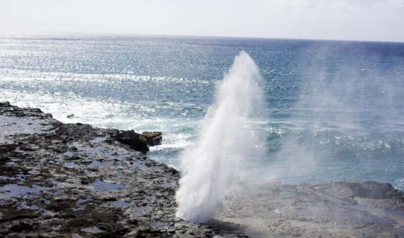 From Waikiki: Oahu Scenic Half-Day Circle Island Tour - Key Points