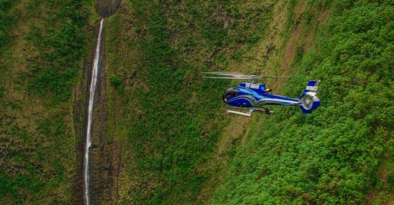 From Waikoloa: Kohala Coast Helicopter Adventure - Key Points