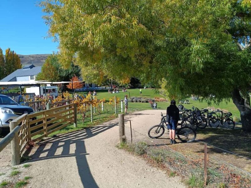 From Wanaka - Bike the Dunstan Trail with shuttle return - Deep Dive: Is This Tour Worth the Cost?