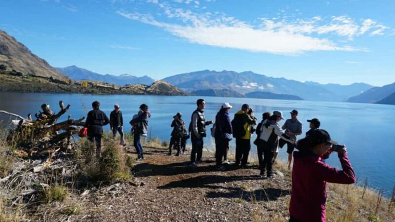 From Wanaka: Ruby Island 1-Hour Cruise and Photo Walk - Practical Tips