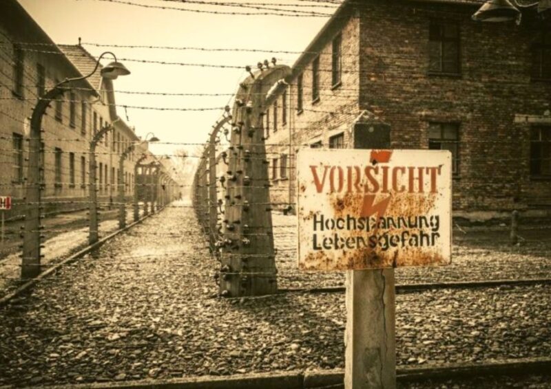 From Warsaw: Auschwitz-Birkenau Small Group Tour with Lunch - Frequently Asked Questions (FAQs)