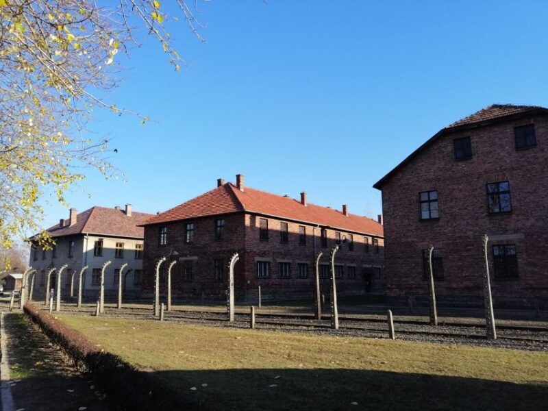 From Warsaw: Auschwitz-Birkenau Tour by Car - Key Points