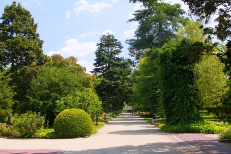 From Warsaw: Tour to Chopin's Birthplace - elazowa Wola - Final Thoughts: Who Should Consider This Tour?