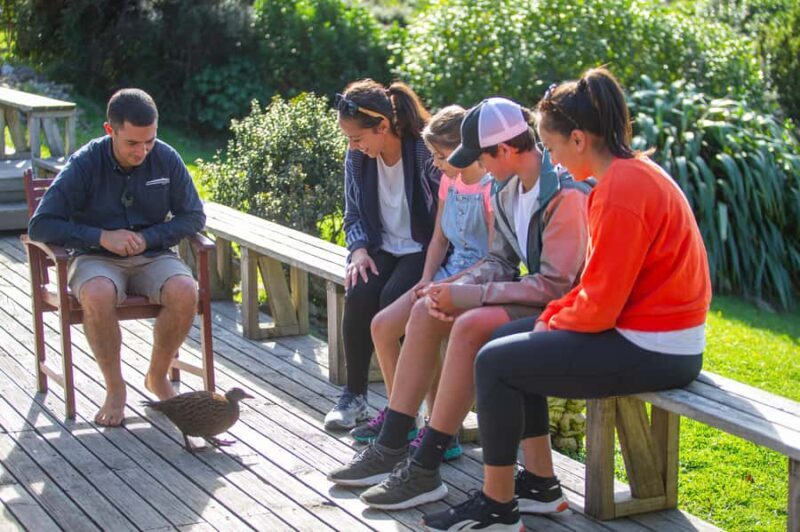From Wellington: Kapiti Island Classic Guided Day Tour - The Sum Up