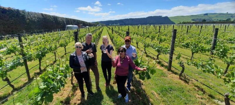 From Wellington: Martinborough Winery Tour - An In-Depth Look at the Martinborough Winery Tour