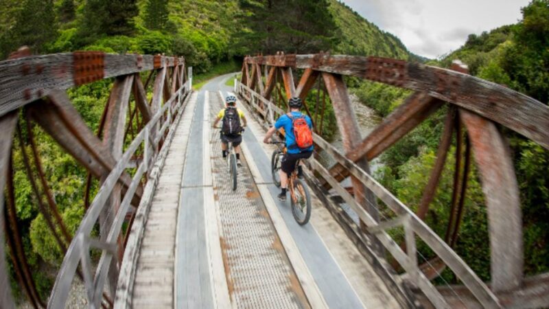From Wellington: Remutaka Rail Trail eBike Tour - Authentic Reviews: What Participants Say