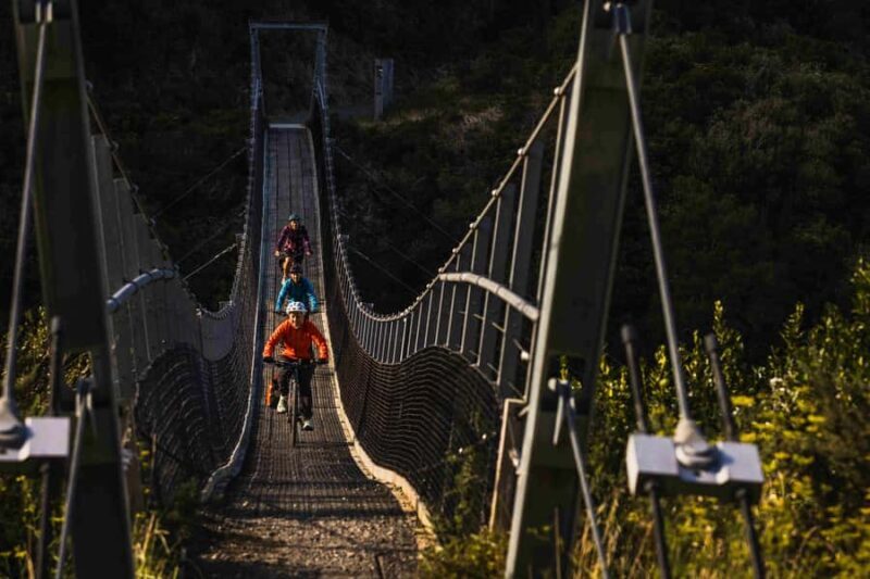From Wellington: Remutaka Rail Trail eBike Tour - Final Thoughts