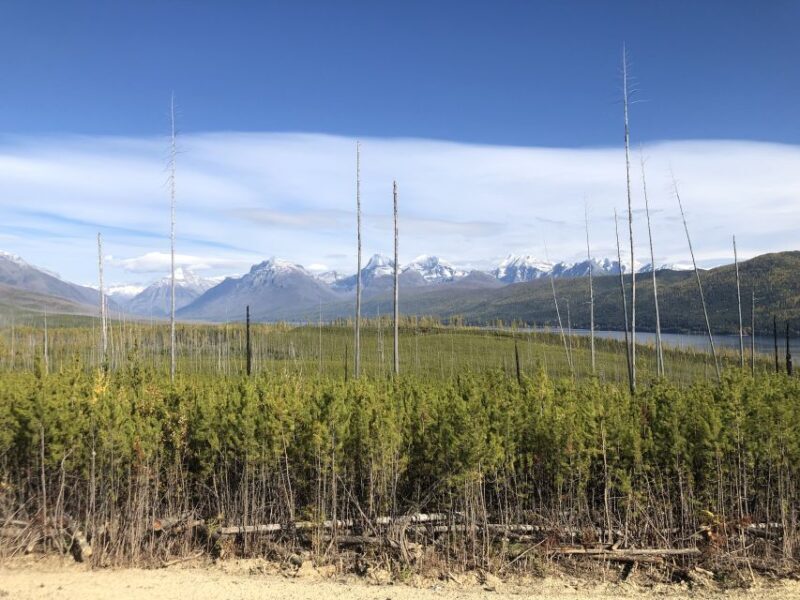 From Whitefish: West Glacier & Polebridge Day Tour - FAQ