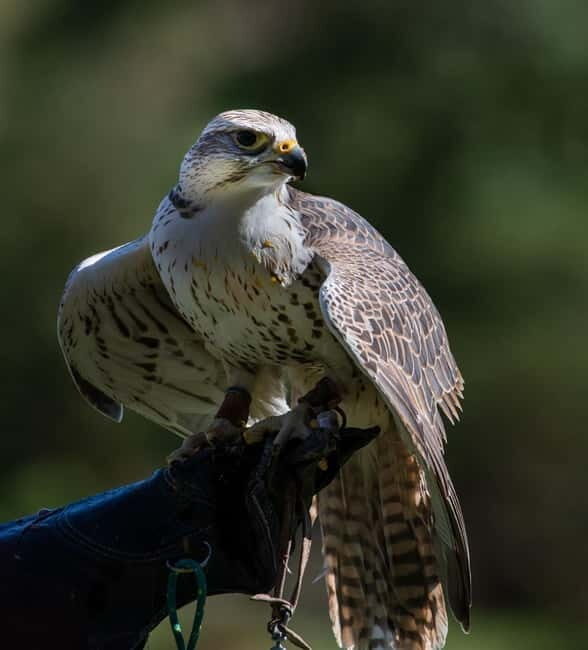 From Windermere: Mountain Passes & Muncaster Castle - Final Thoughts