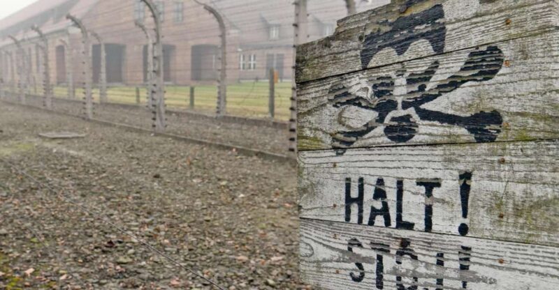 From Wrocaw: Full-Day Auschwitz-Birkenau Guided Tour - An In-Depth Look at the Auschwitz-Birkenau Guided Tour