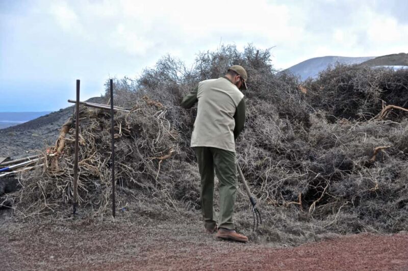 From Yaiza: Timanfaya Express Tour with No Queues - Key Points