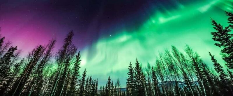 From Yellowknife:4-Day Aurora Viewing Tour with Hotel Pickup - Final Thoughts: Who Is This Tour Best For?