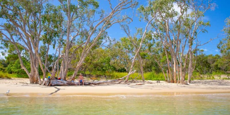 From Yeppoon: Great Keppel Island Snorkeling Hire with Lunch - The Itinerary: What to Expect on Your Day Trip to Great Keppel Island