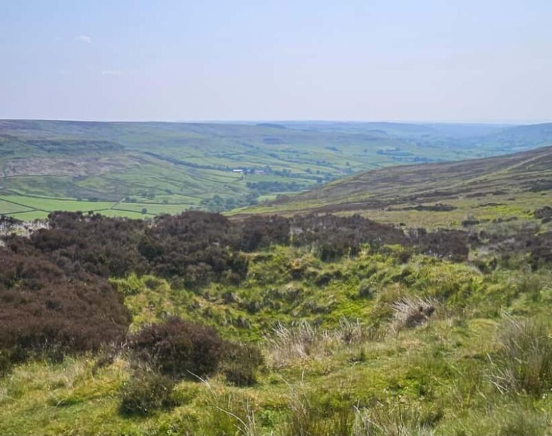 From York: North Yorkshire Moors, Whitby w/ Steam Train Ride - Discovering the North Yorkshire Moors and Whitby: An In-Depth Review