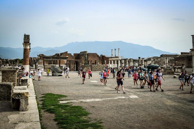 From your cruise ship in Naples to Pompeii Park, ticket and guide included - Key Points