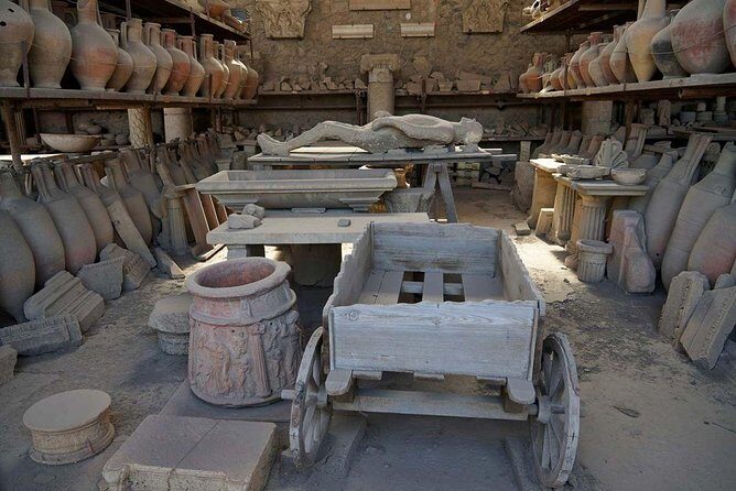 From your cruise ship in Naples to Pompeii Park, ticket and guide included - Why This Tour Offers Good Value