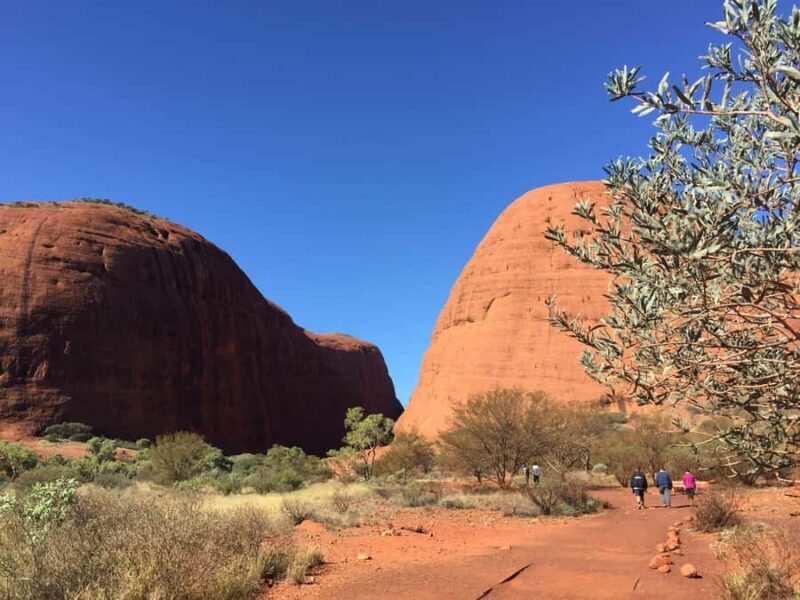 From Yulara: 3-Hour Small Group Kata Tjuta Afternoon Tour - Exploring Kata Tjuta in 3 Hours: What to Expect