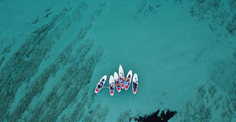 From Zadar: Full Day Dugi Otok Guided Paddle Board Tour - Exploring Dugi Otok: What to Expect