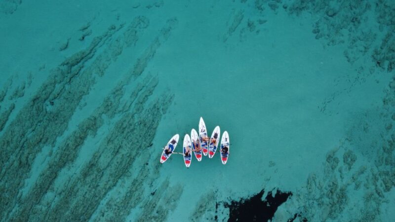 From Zadar: Full Day Dugi Otok Guided Paddle Board Tour - Who Should Consider This Tour?