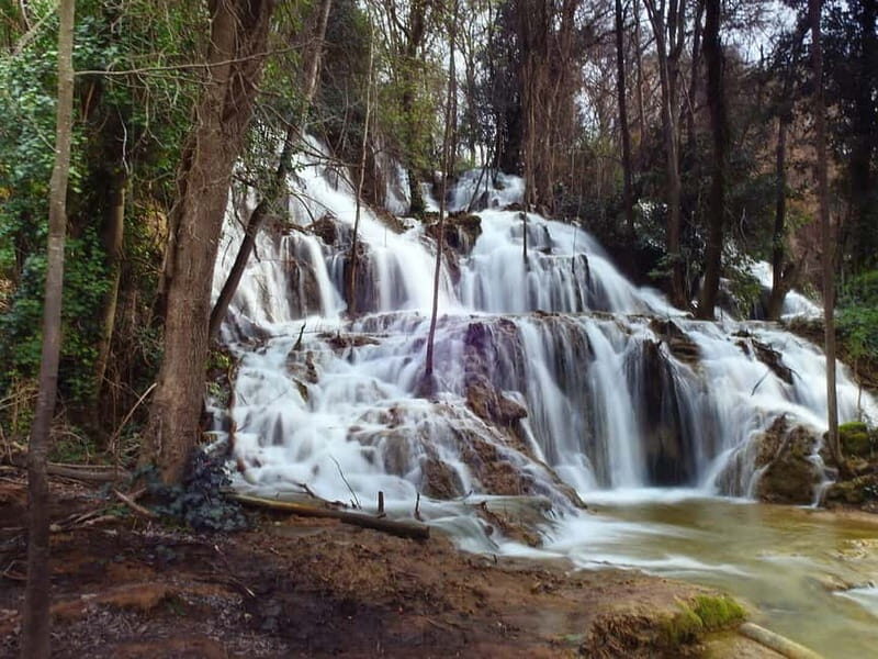 From Zadar: Krka National Park Full-Day Tour from Zadar - Key Points