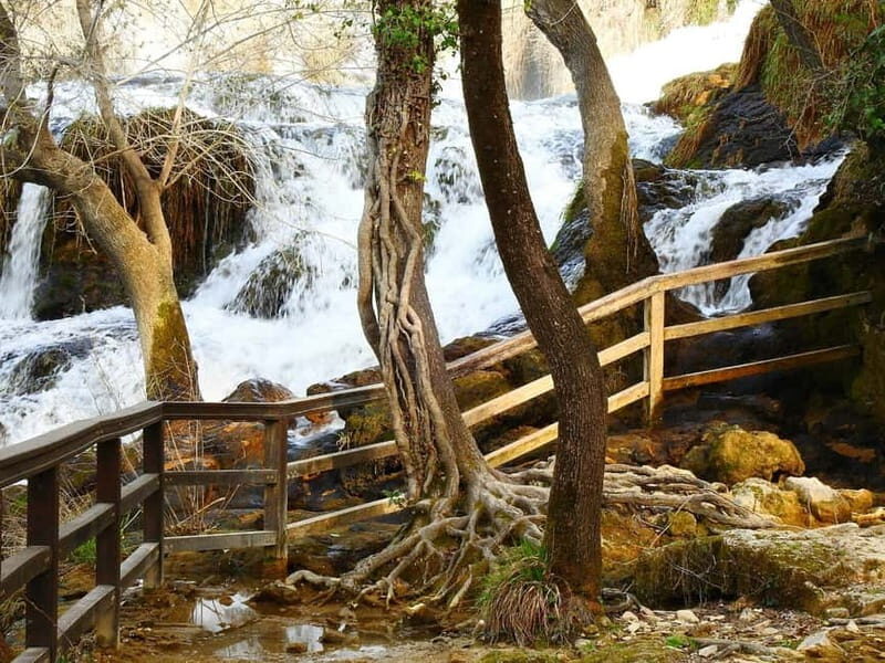 From Zadar: Krka National Park Full-Day Tour from Zadar - Who Should Book This Tour?