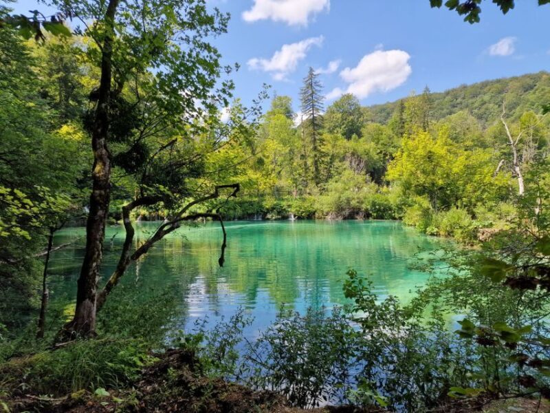 From Zadar: Krka Waterfalls Tour with Panoramic Boat Ride - FAQ