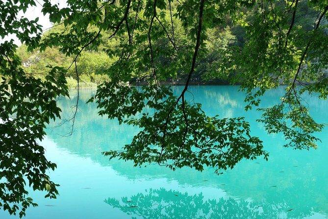 From Zadar: Plitvice Lakes Guided Day Tour with Tickets - Insights from Reviews: What Travelers Loved