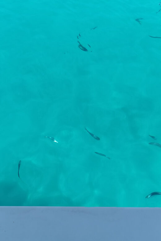 From Zadar: Sakarun Beach Private Speed Boat Tour - FAQs