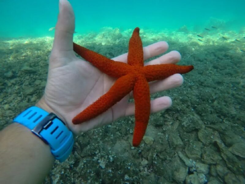 From Zadar: Sports Sailing Tour with Swimming Breaks - FAQ