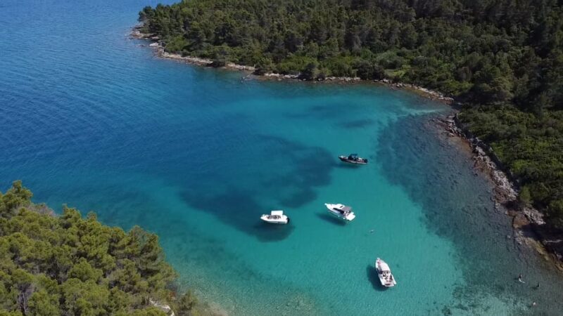 From Zadar: Ugljan, Galevac and Oljak Islands Boat Tour - Key Points