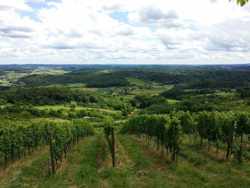 From Zagreb: Fairytale Castle & Wine Tasting & Lunch - From Zagreb: Fairytale Castle & Wine Tasting & Lunch — A Detailed Review