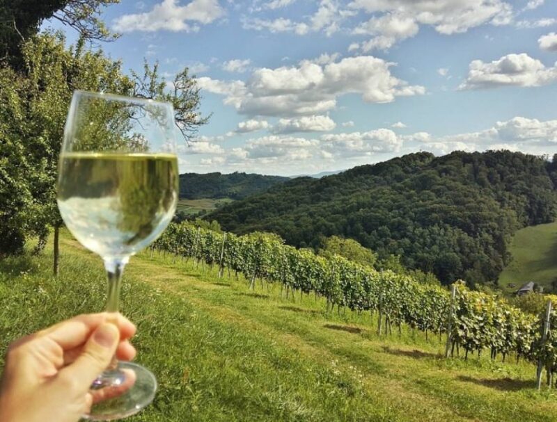 From Zagreb: Fairytale Castle & Wine Tasting & Lunch - Key Points