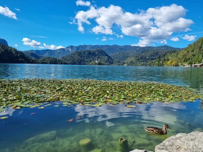 From Zagreb: Highlights Day Tour to Bled and Ljubljana - A Thorough Look at the Itinerary and What to Expect