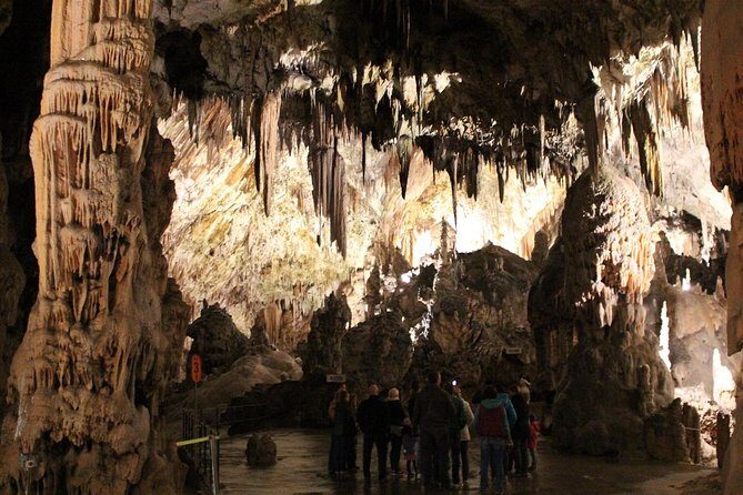 From Zagreb: POSTOJNA caves + LJUBLJANA Day Tour - Authentic Feedback from Travelers