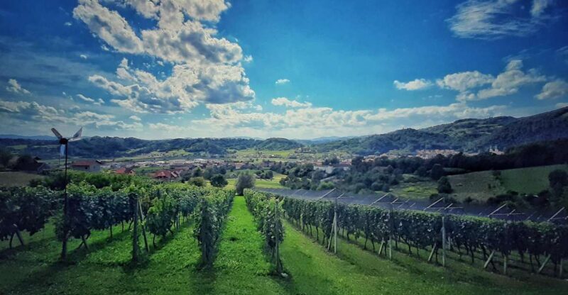 From Zagreb: Samobor & Plesivica Wine Road, Private - Is it Worth the Price?